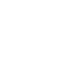 AYSL-Adidas-websquare